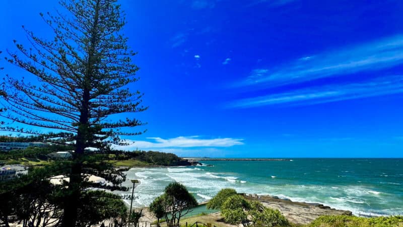 gay yamba